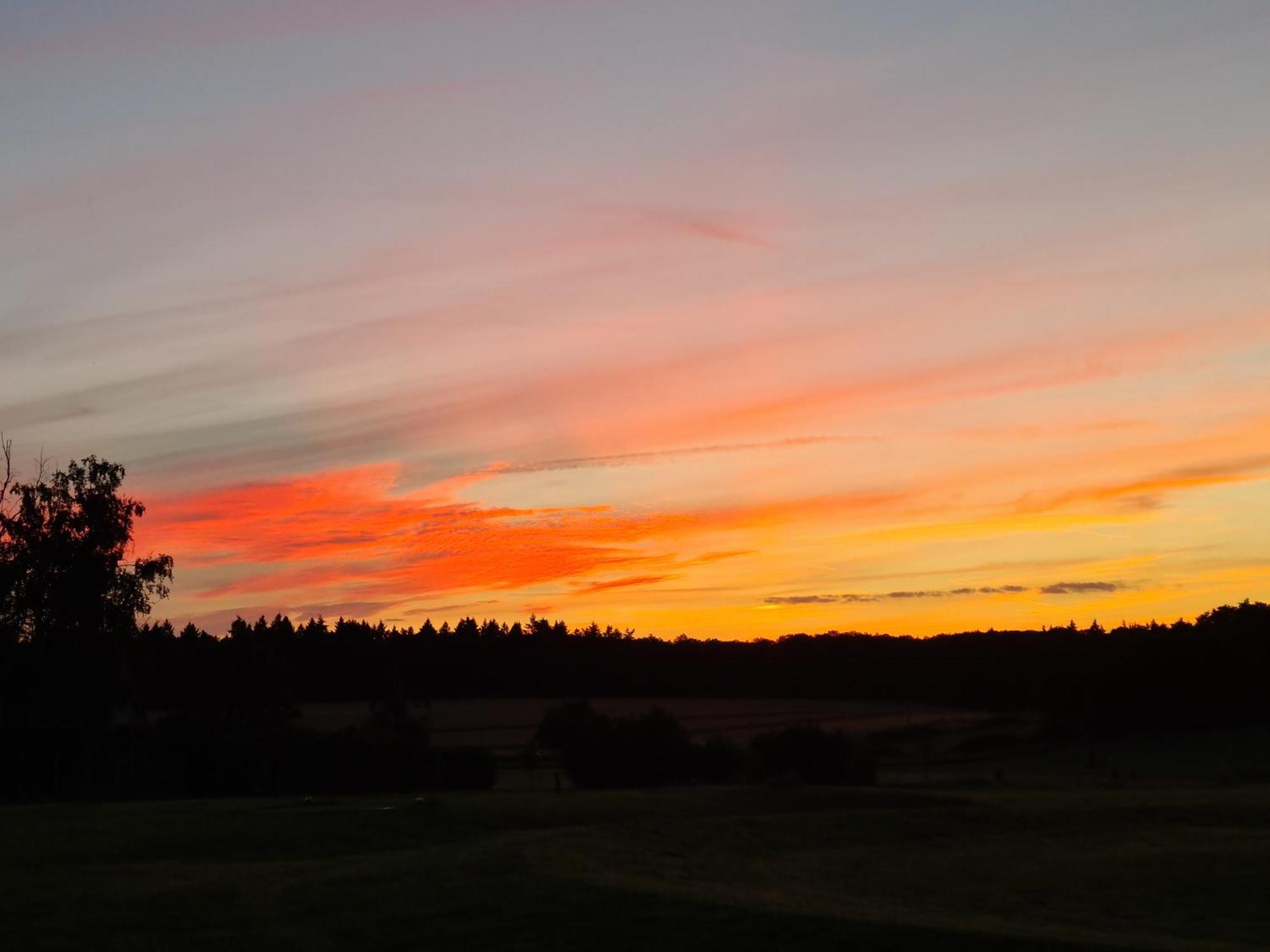 Cottages Du Golf Fleuray-Amboise Cangey ภายนอก รูปภาพ